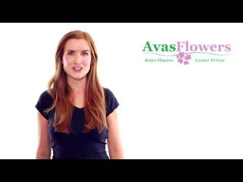 Avas Flowers Carson City