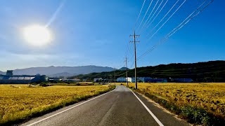 Download lagu [4K] Clear Day, National Road | Gyeongju - Ulsan - Yangsan | 103 mp3