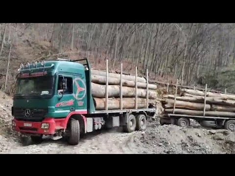 Šticar pun drva sa prikolicom niz brdo