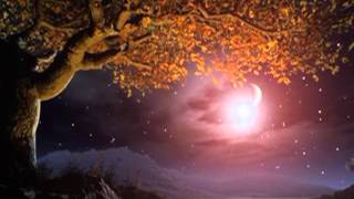 My Happiness - Jim Reeves