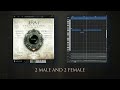 Video 2: Instrument Playthrough Celtia