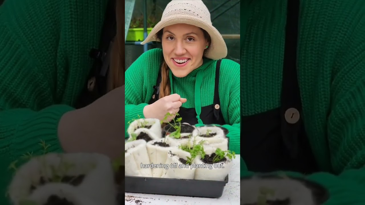 Masterclass - Seed Storage - Kings Seeds