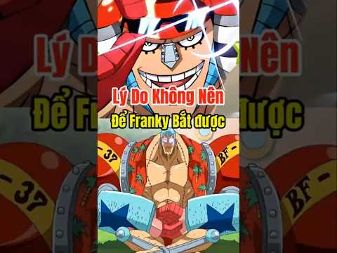Lý Do Không Nên Để Franky Bắt được #anime #onepiece #animeshorts #luffy