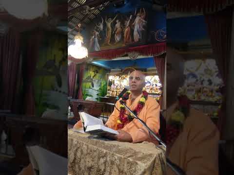 Srimad Bhagavatam 01.13.07 (Hindi) - HH Bhakti Rasamrita Swami