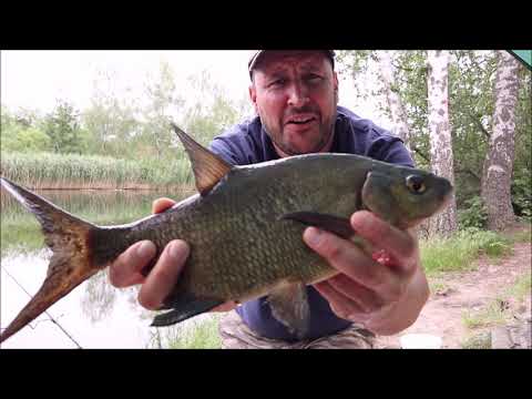 Fishing for eel and tench on the canal