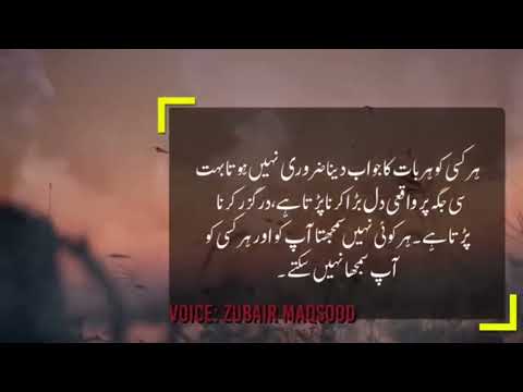 Sed Quotes About Society Zubair Maqsood Voice Video