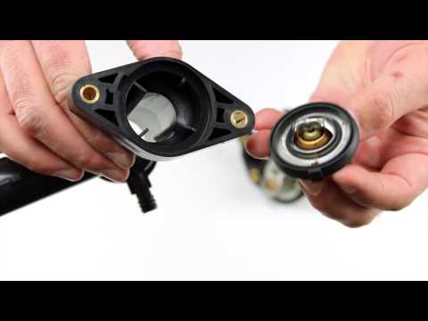 Thermostat Seal Advantage   Tech Short