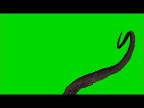 Green Screen tentacle video effects