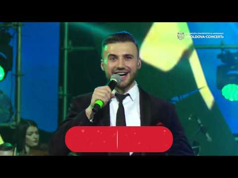 Brio Sonores - sapte cani LIVE 2019