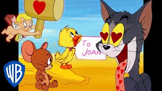 Tom & Jerry  Love is in the Air  Classic Carto