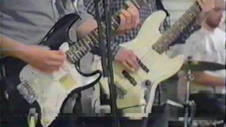 HONEY RADAR - PINWHEEL