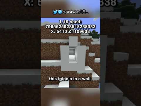 A Year Of Minecraft Seeds. (5 Million Subscriber Special)