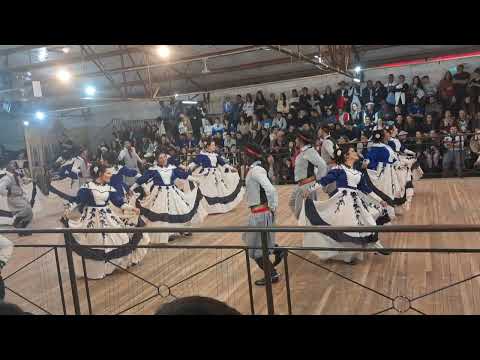 GN IBIRAPUITÃ ADULTA SARAU - CHIMARRITA