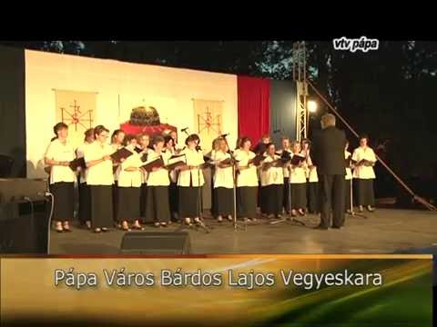 VTV Pápa Magazin, 2012.08.22. Szerda-Közélet