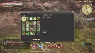 ランド君、タンク道を極める！！（強制）　準備&ナイト編