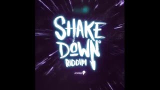 In De Middle - Shake Down Riddim (Official Audio) | Tian Winter