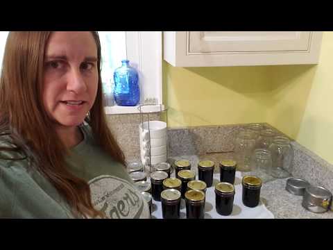 download lagu mp3 mp4 What To Do With Runny Jam, download lagu What To Do With Runny Jam gratis, unduh video klip What To Do With Runny Jam