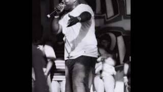 Bumpy Knuckles a.k.a. Freddie Foxxx - Why Freestyle (dj premier rmx)