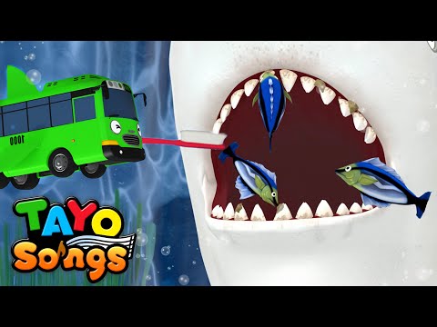 Learn How the Gray Reef Shark Brushes Its Teeth!🦈|Tayo Shark Song | Tayo Nursery Rhymes & Kids Songs