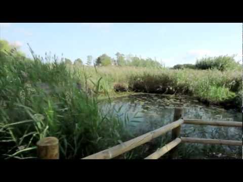 Turisme Terres de l'Ebre - Parc Natural del Delta de l'Ebre