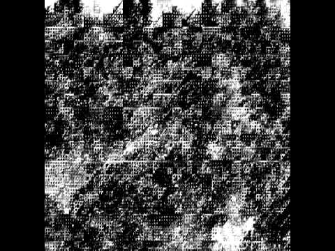 Cezary Gapik - #0449