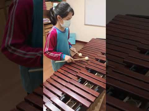 第二屆中10 木琴小郁-第二屆安慶才藝王徵選活動