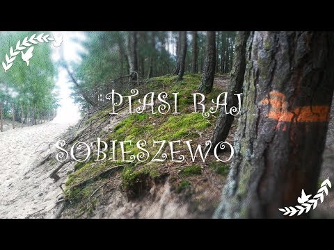 Ptasi Raj  Wyspa Sobieszewska