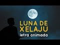 Luna de Xelajú [ LETRA ] - Paco Perez - Por: Susy Danielle