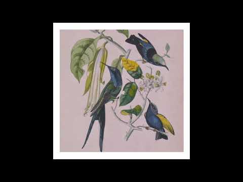 Susumu Yokota – Sakura (Full Album)