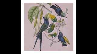 Susumu Yokota – Sakura (Full Album)