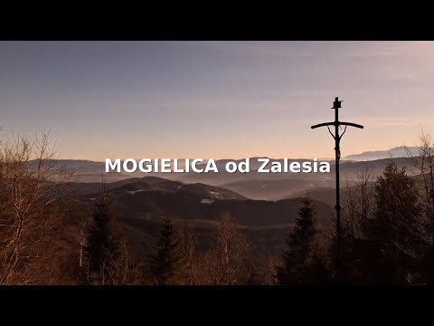 Mogielica od Zalesia
