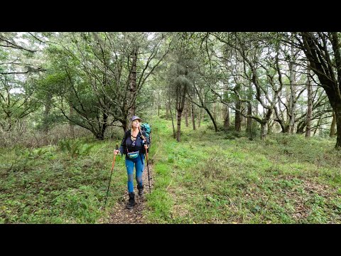 THIS PLACE BLEW ME AWAY! | Backpacking Point Reyes National Seashore During Winter 2026