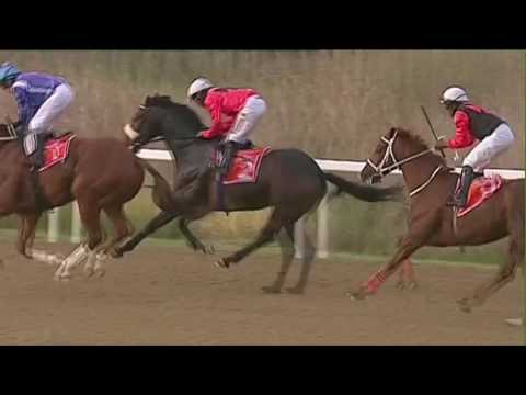 SNAITH SHOOTS THE SHERIFF