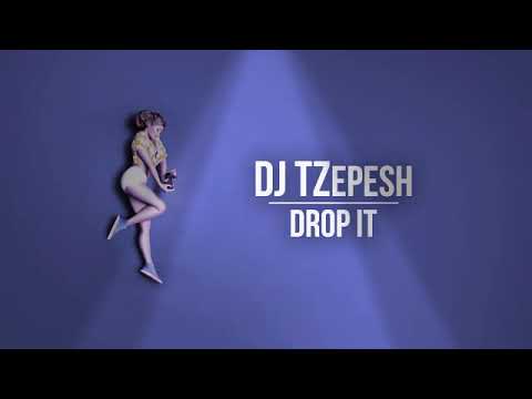 DJ TZepesh-Drop It | Cat Music News