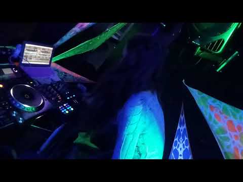 Z-Cat 🎄 04.01.2018| Winter holiday