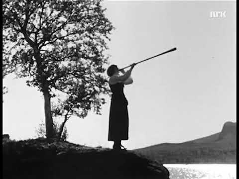 Wooden Lur: Old Nordic Horn Instrument