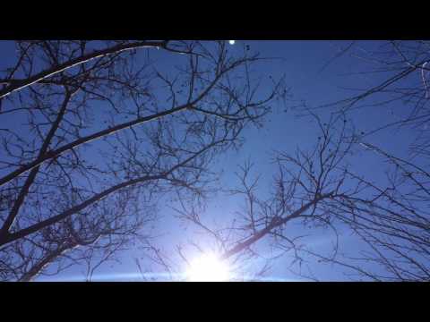 Mother Nature is our Greatest Teacher