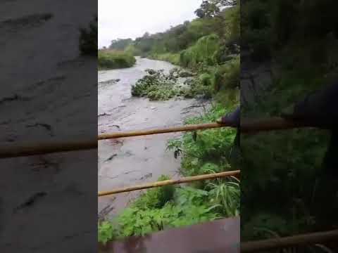 lluvias, puente las ajuntas Guarico moran Lara