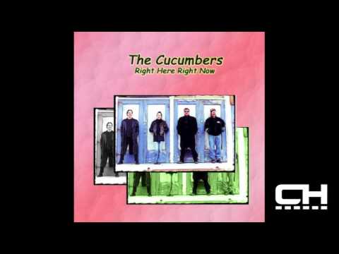 The Cucumbers - Right Here, Right Now (Album Artwork Video)