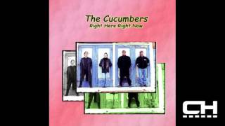 The Cucumbers - Right Here, Right Now (Album Artwork Video)
