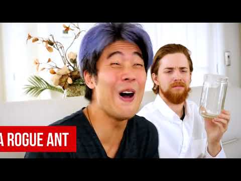 Punny Gifts for Rich People! (Dear Ryan) By Nigahiga REACTION!!!