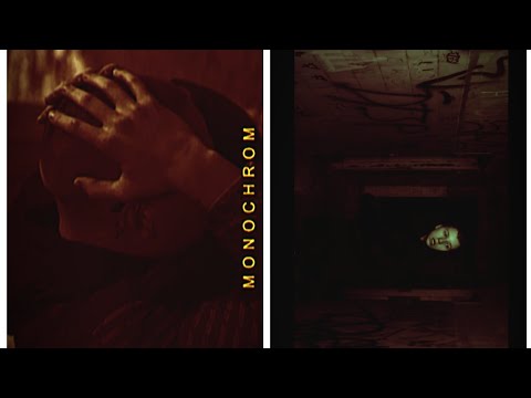 LEMI X 27.FUCKDEMONS - MONOCHROM (Przerobiony Teledysk)