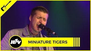 Miniature Tigers - Swimming Pool Blues | Live @ JBTV