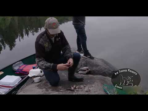 Cooking Fresh Brook Trout over an open Fire - Hooked On Canada Season 1 Episode 1 Segment 4