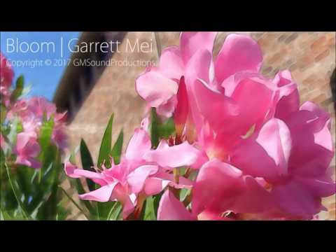 Garrett Mei - Bloom