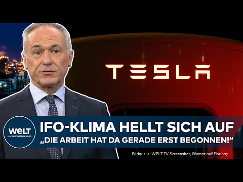 DEUTSCHLAND: Tesla verliert massiv | Industrie zeigt sich so optimistisch wie seit Monaten nicht!