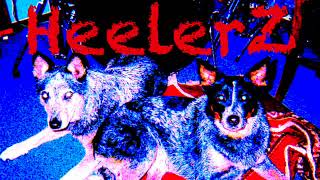 OnE MaN ArmY ~ GG AlliN &amp; ThE JabberS ~ covereD bY HeelerZ