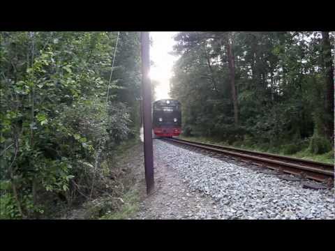 99 1784-0 bei Göhren (Folge 7)