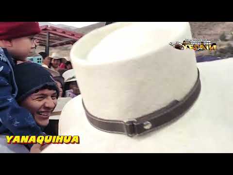 YANAQUIHUA CONDESUYOS AREQUIPA 2️⃣0️⃣2️⃣5️⃣