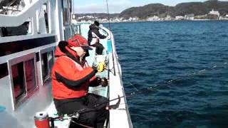 海楽園のイメージ